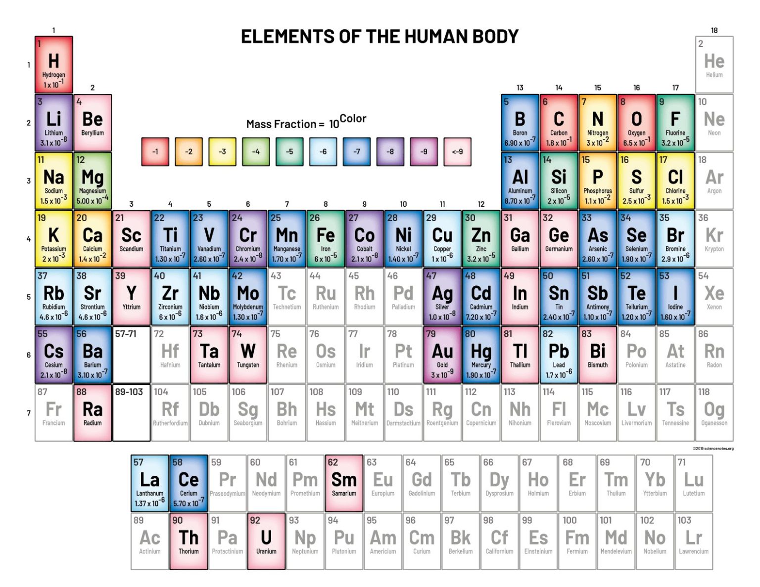 Exploring The Human Body Elements’ Location On The Table – The Nomads Oasis