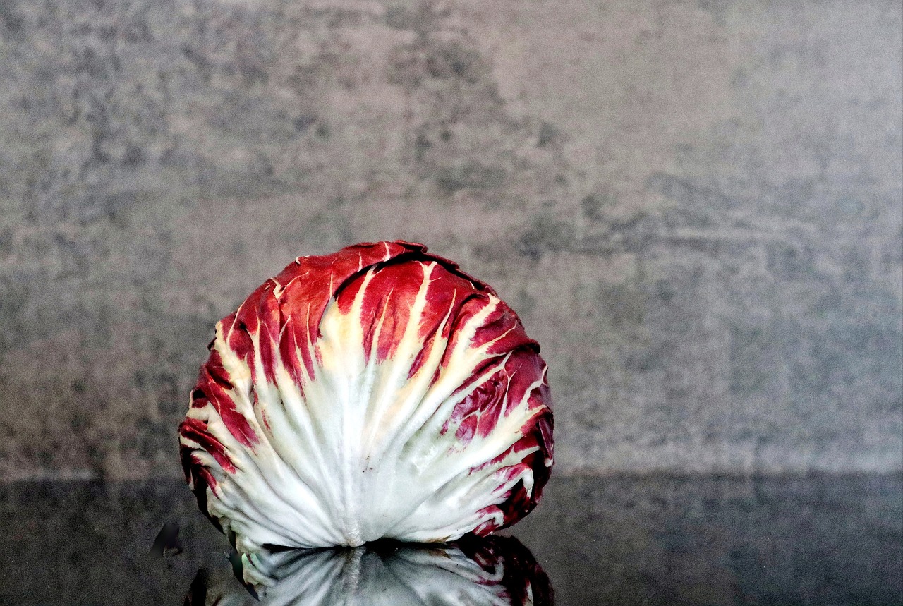 Salad, radicchio, food — Testosterone Delivered with Online Convenience